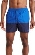 Nike Colorblock Drawstring Volley Shorts