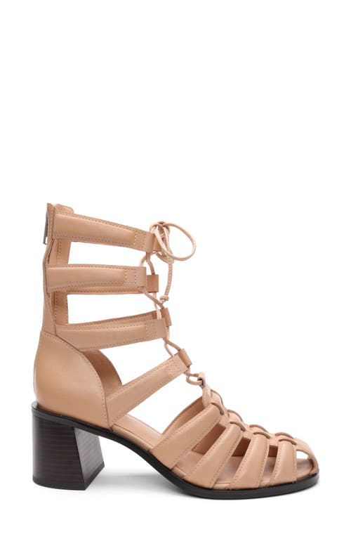 Ash Juvia Lace-up Gladiator Sandal In Animal Print