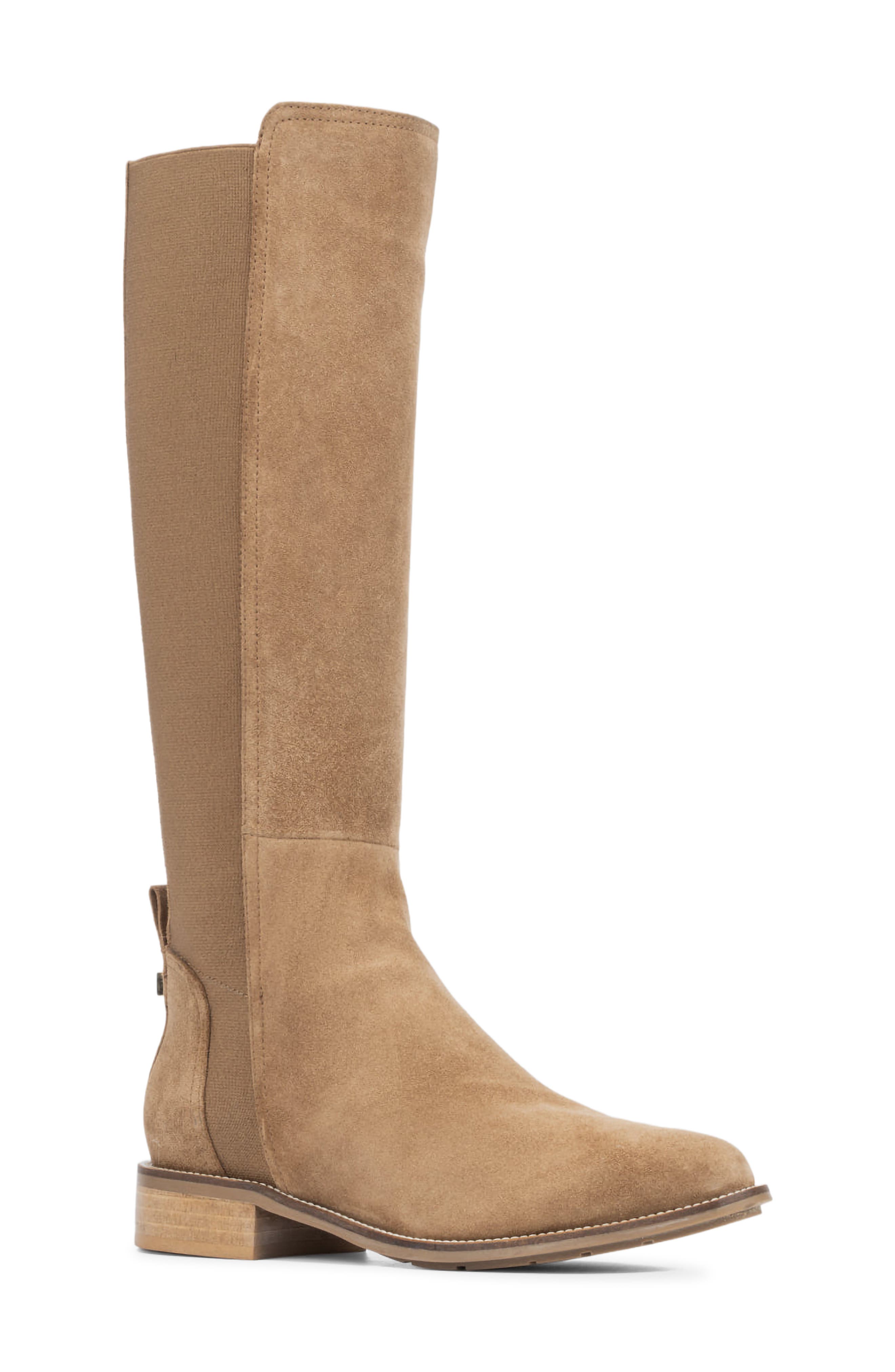 Aquatalia Nolita Weatherproof Knee High Boot, Main, color, Champagne Suede