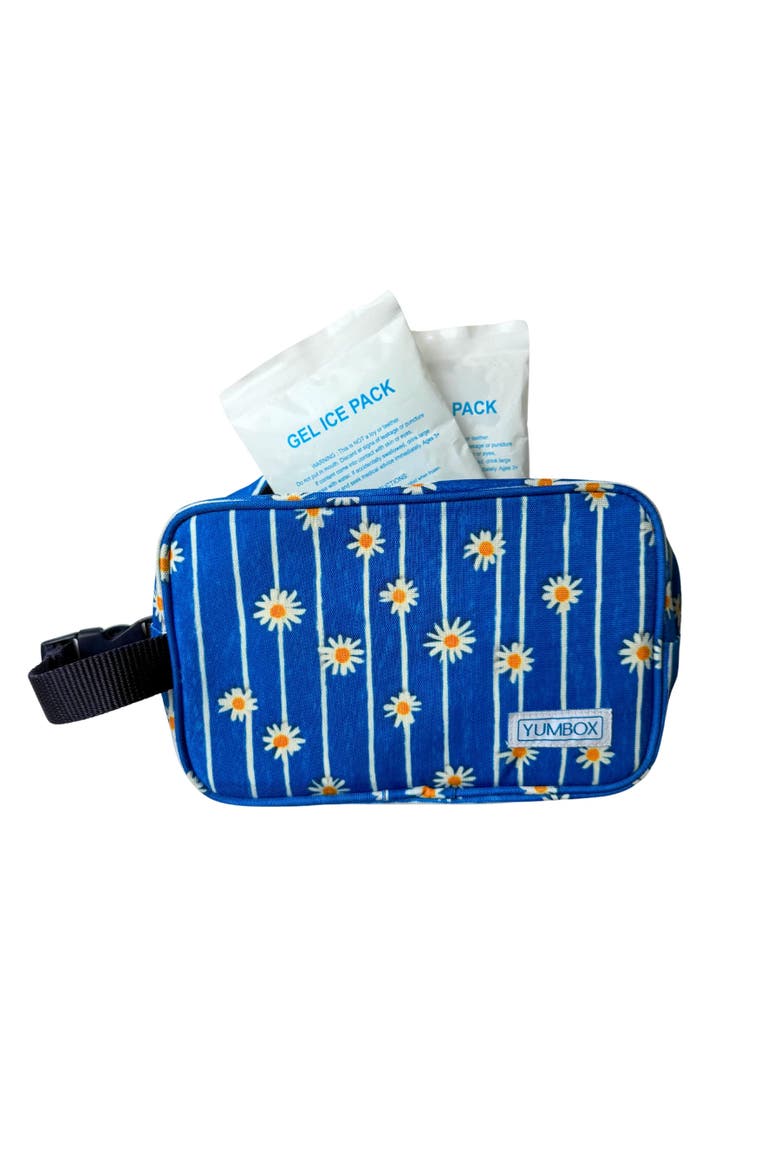 Insulated Lunch Bag for Kids 3 Ways to Carry, Alternate, color, Daisy Stripes