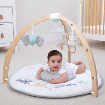 Play & Discover Baby Activity Gym