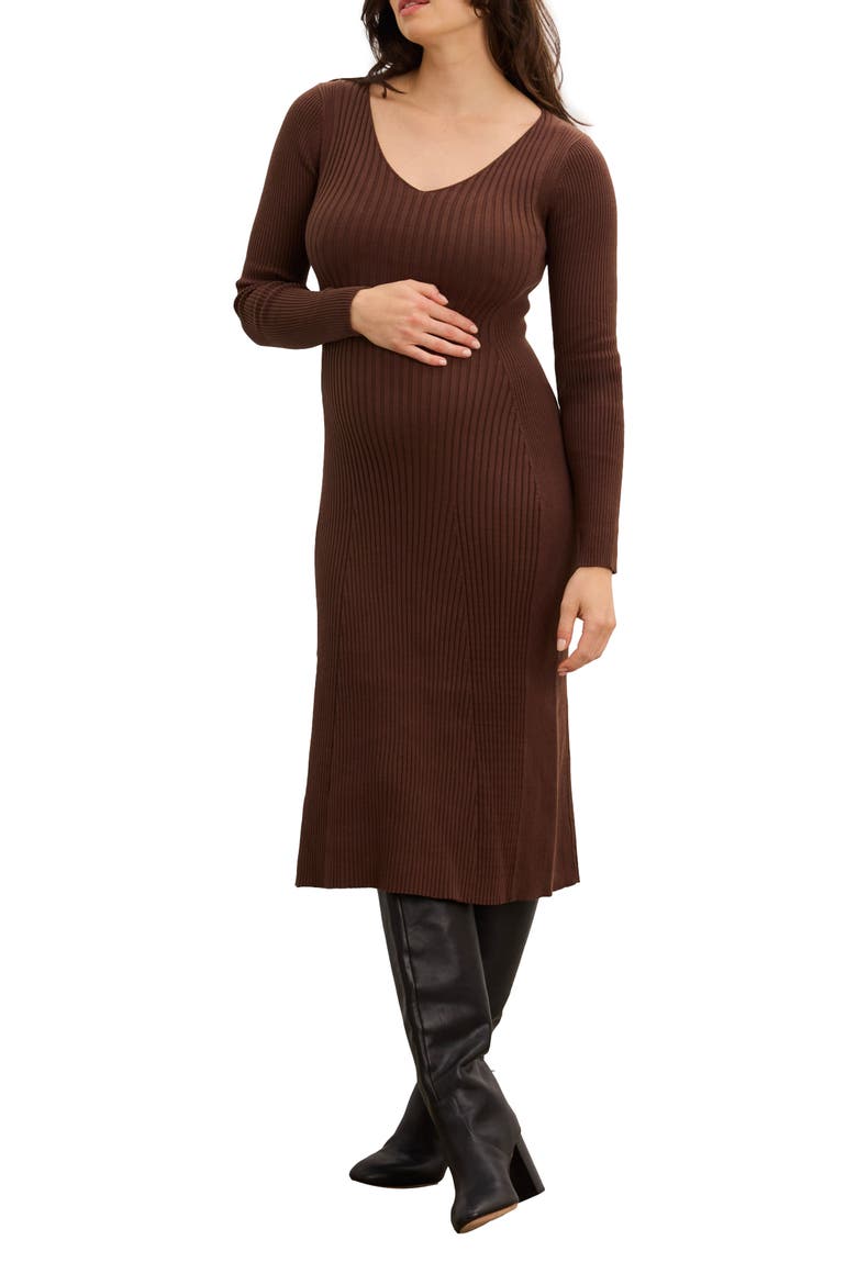 The Dasha Sweater Dress, Main, color, Chocolate