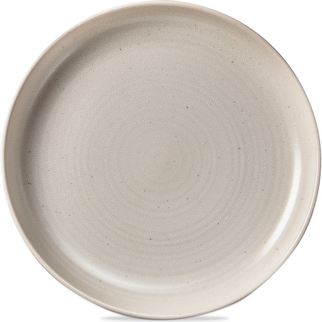 Tag Loft Speckled Reactive Glaze Stoneware Dinner Plate Matte White In Neutral