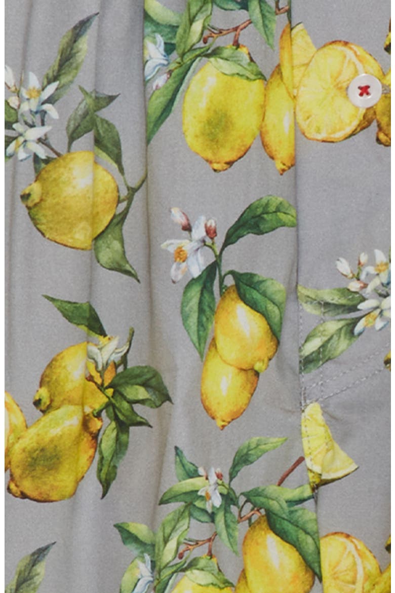 Organic Cotton Watercolor Lemons Boxer Short, Alternate, color, LAVENDER