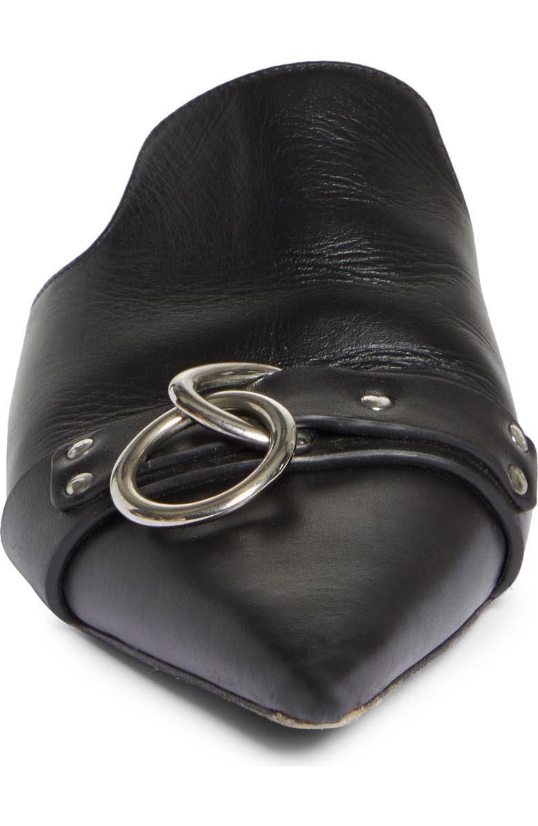 R13 Pointed Toe Flat, Alternate, color,