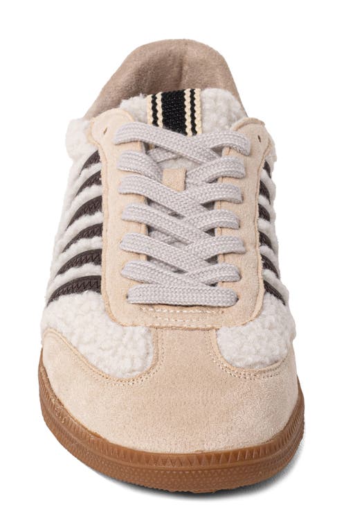 Shushop Stevie Sneaker In Multi