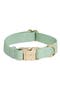  Pistachio Green