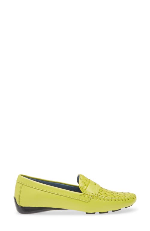 Robert Zur 'petra' Driving Shoe In Kiwi