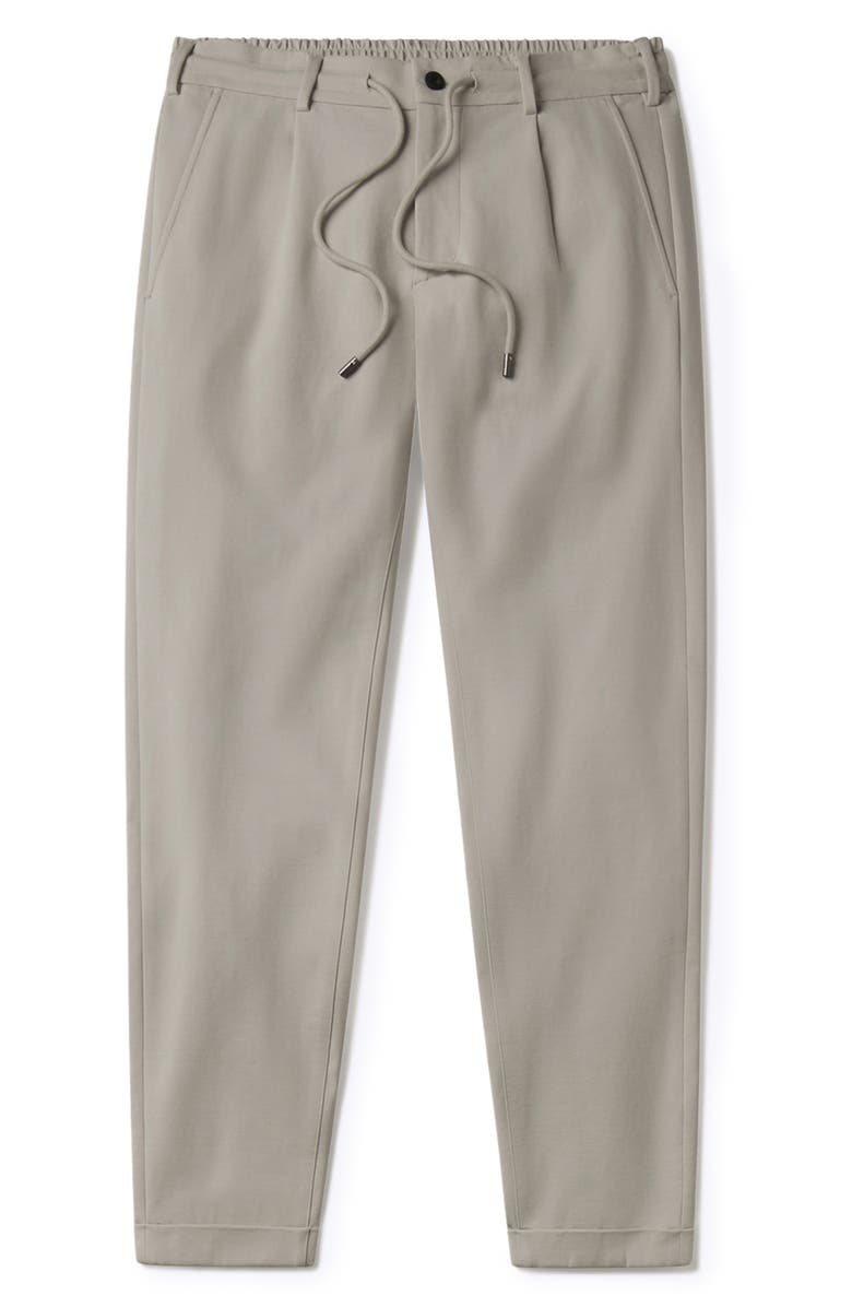 Cuts Soho Pleated Stretch Trousers, Alternate, color, Mourning Dove