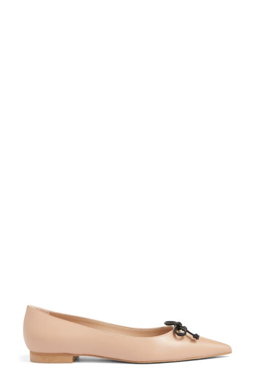 Stuart Weitzman Landon Pointed Toe Ballet Flat In Adobe/black