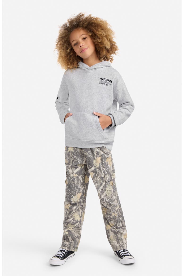 Kids' Scenic Fashion Cotton Blend Hoodie, Alternate, color, LIGHT GREY HEATHER