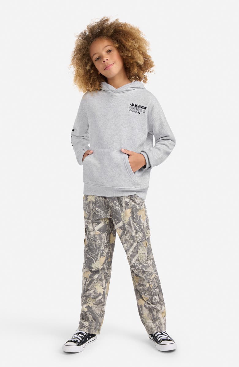 abercrombie kids Kids' Scenic Fashion Cotton Blend Hoodie, Alternate, color, Light Grey Heather