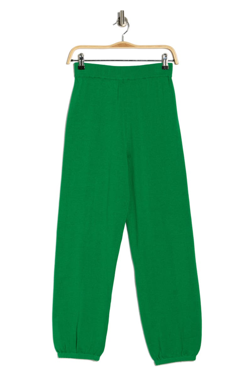 Simkhai Cotton & Cashmere Joggers, Alternate, color, Forest