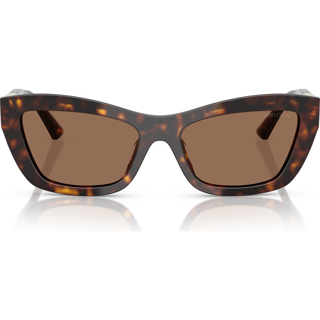 Jimmy Choo 54mm Cat Eye Sunglasses In Havana