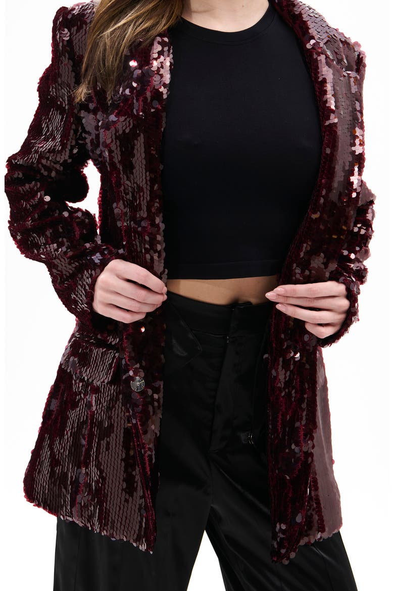Dubai Sequin Blazer, Alternate, color, BURGUNDY