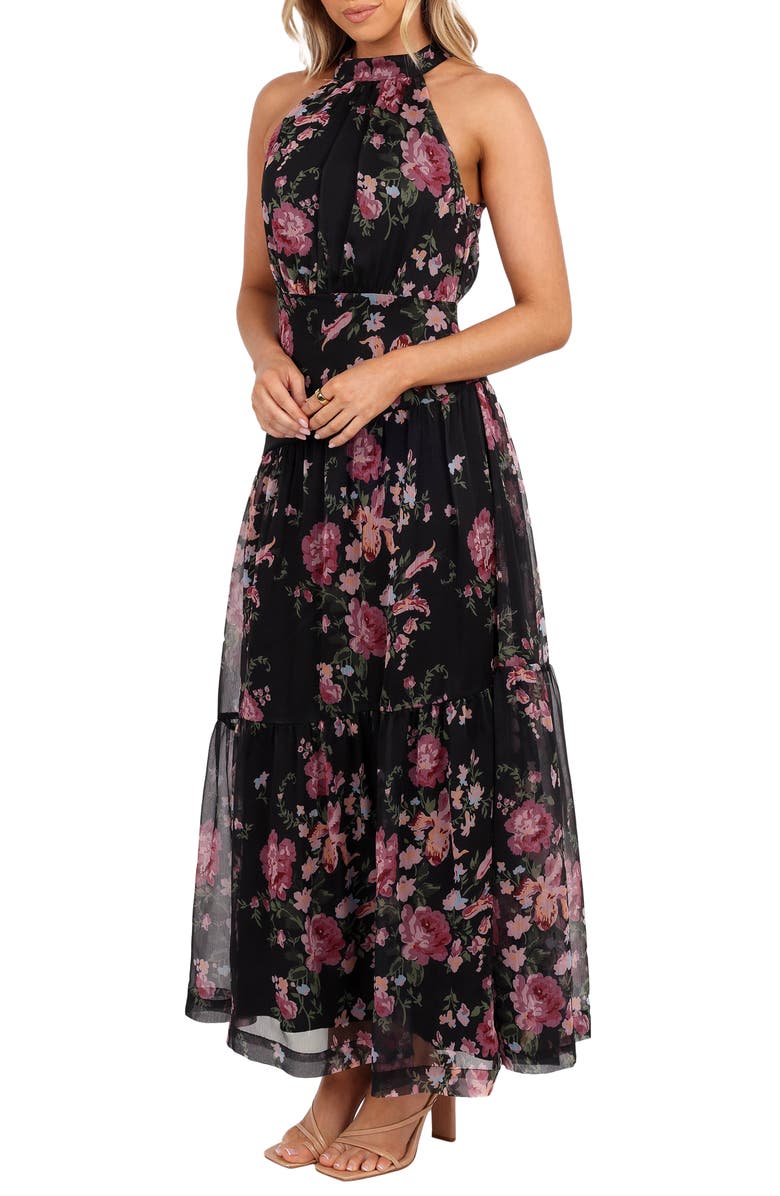 Petal & Pup Eden Floral Halter Maxi Dress, Alternate, color, Black Floral