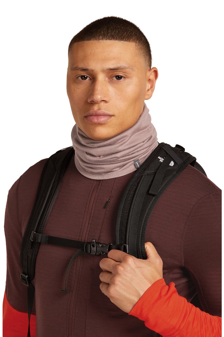 Oasis Flexi Chute Neck Gaiter, Alternate, color, SUMMIT
