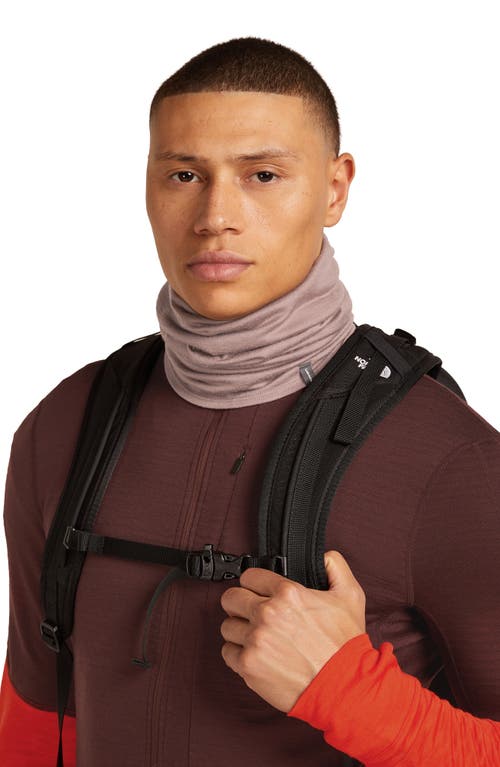 Icebreaker Oasis Flexi Chute Neck Gaiter In Brown
