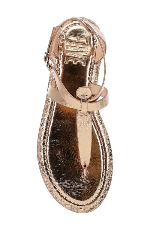 Frye Taylor Metallic Ankle-strap Thong Sandals In Multi