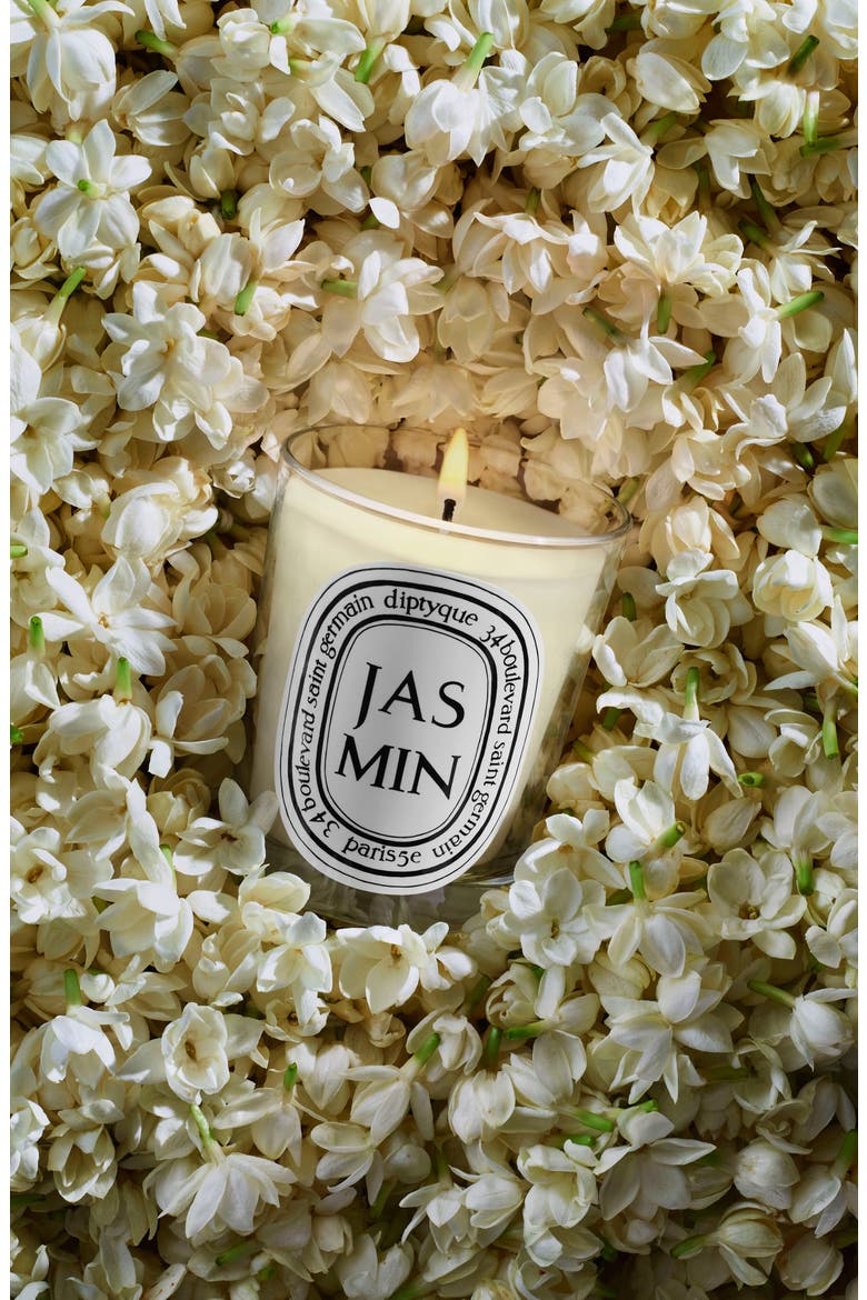 Jasmin (Jasmine) Classic Candle, Alternate, color, NO COLOR