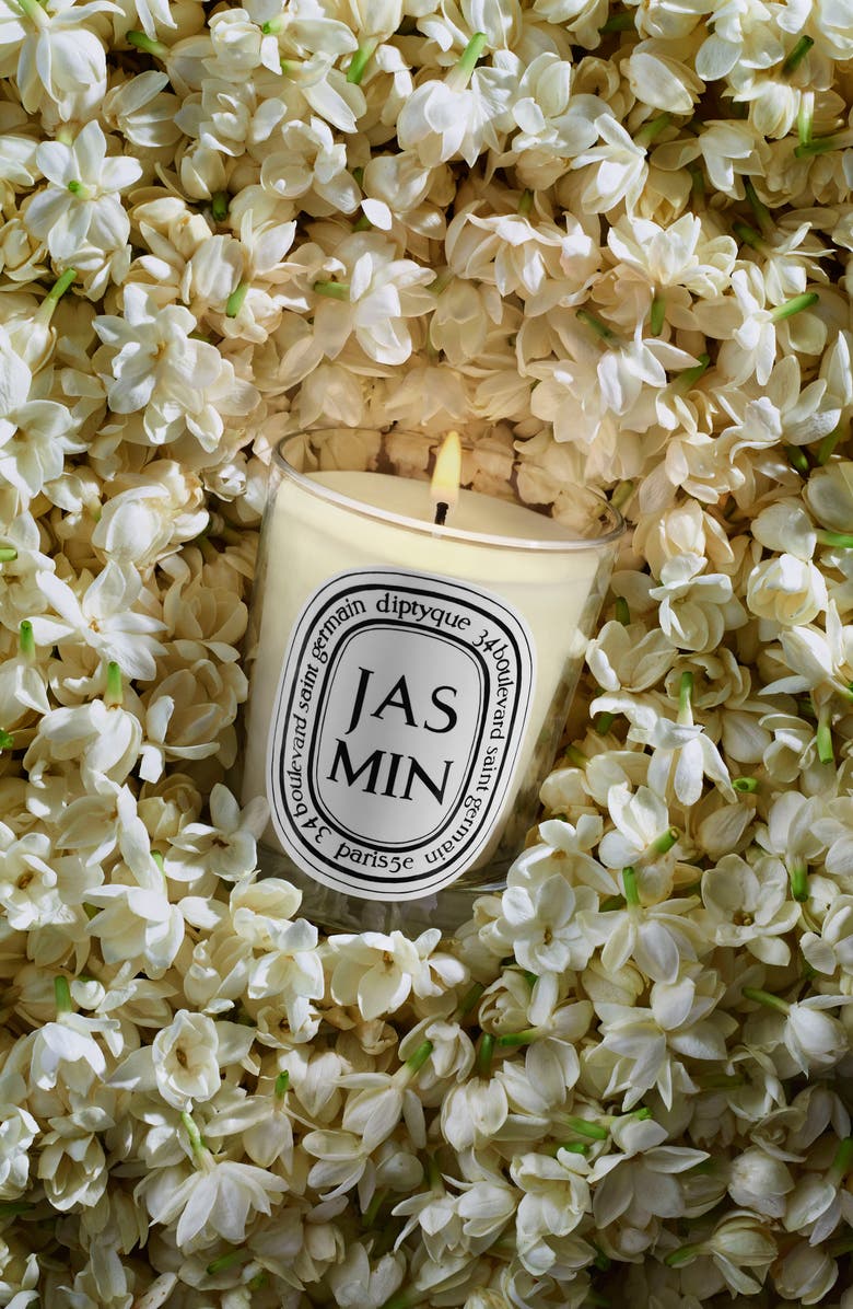 Diptyque Jasmin (Jasmine) Classic Candle, Alternate, color, 