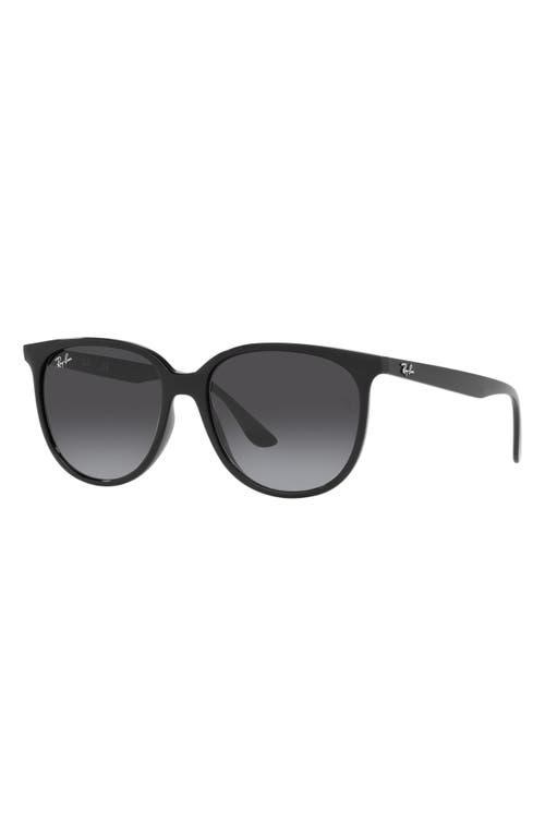 Ray Ban Ray-ban Erika 54mm Gradient Round Sunglasses In Black
