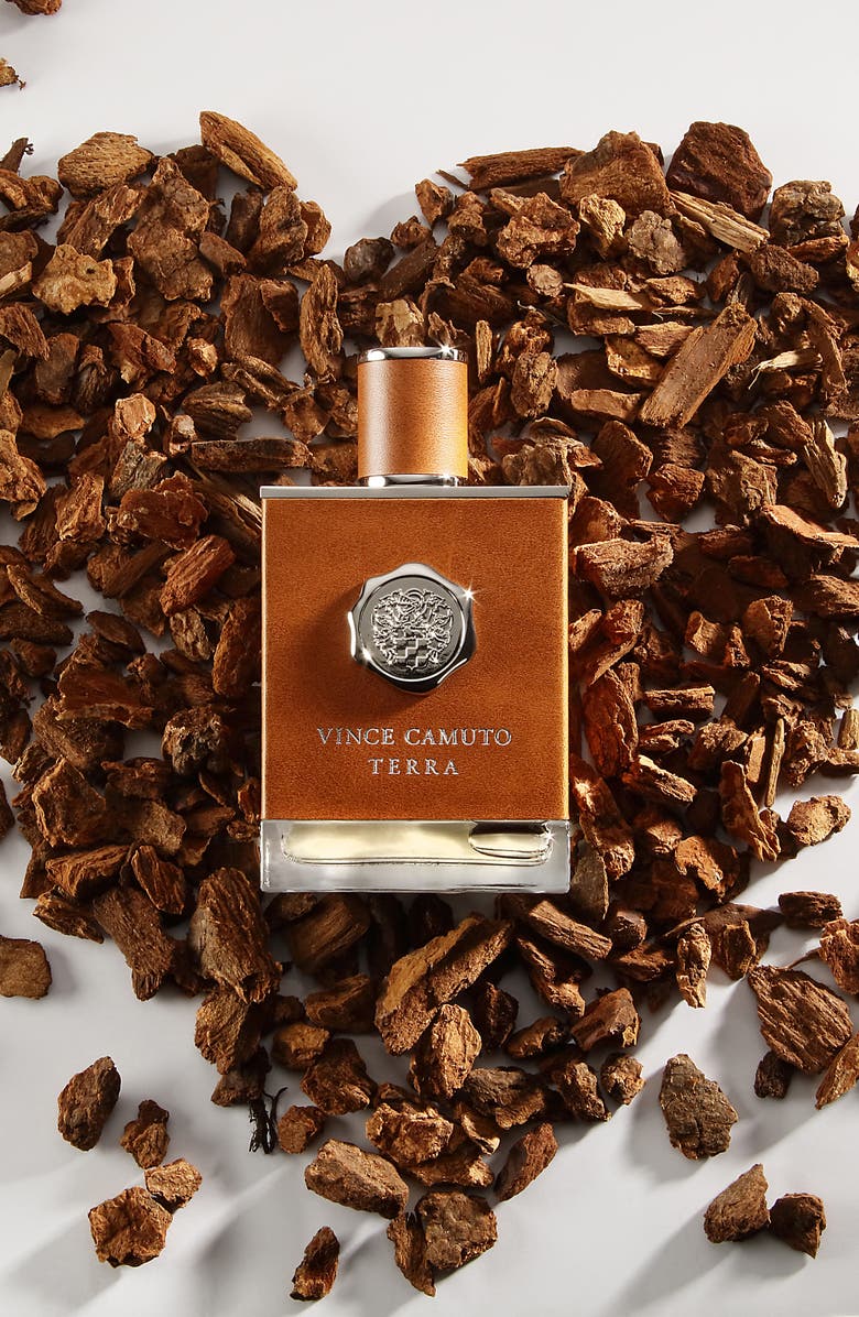 Vince Camuto Terra Eau de Toilette Set, Alternate, color, 