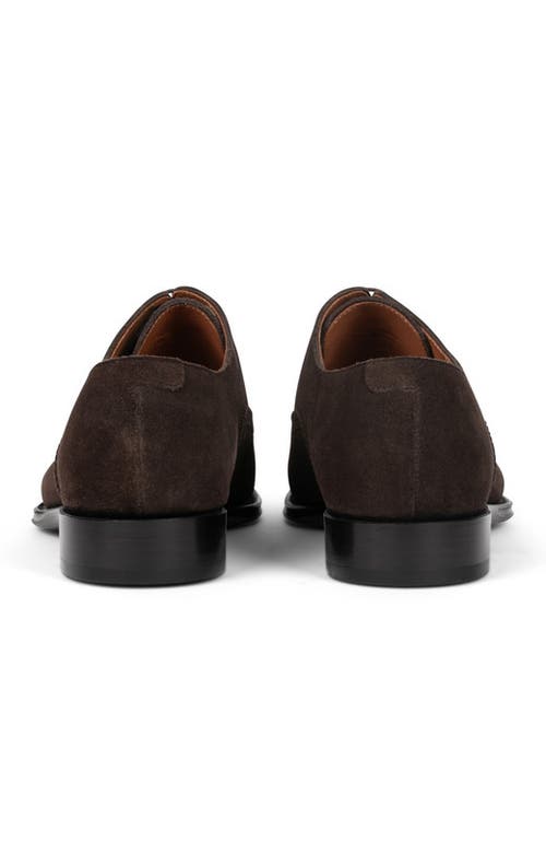 Anthony Veer Windsor Brogue In Tobacco Velvet Brown