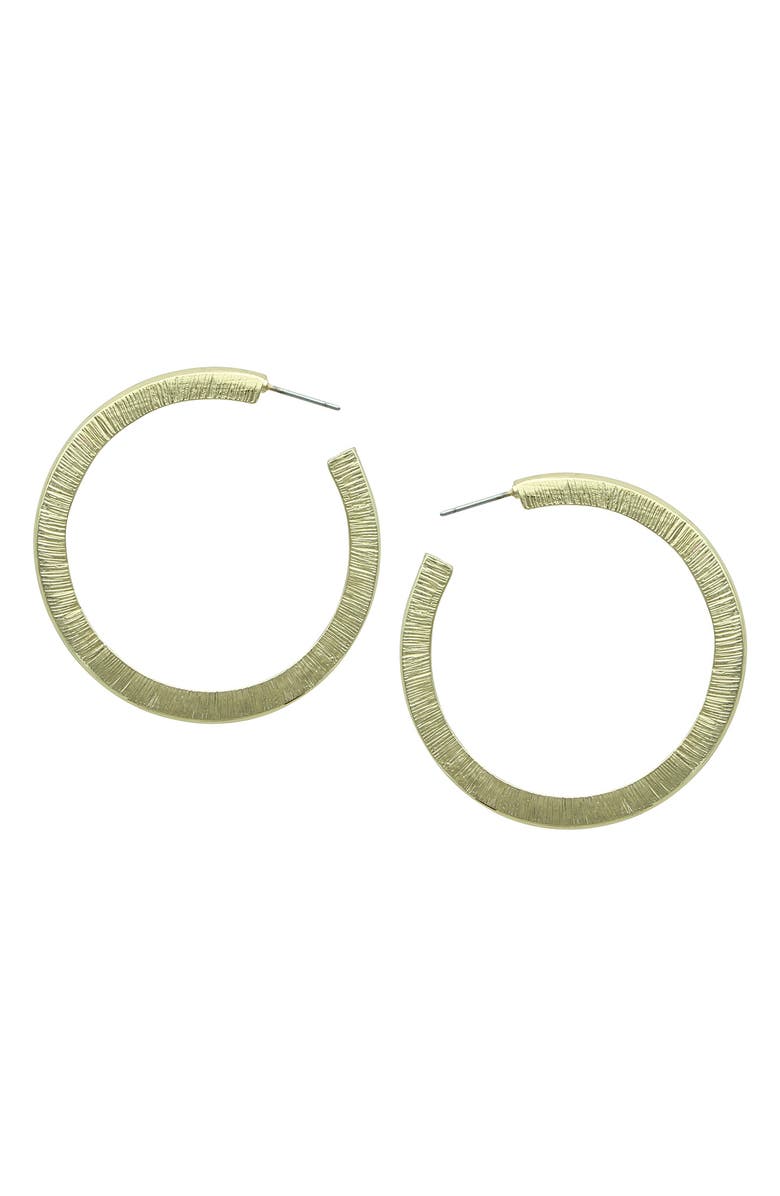 OLIVIA WELLES Dara Resin Hoop Earrings, Main, color, Gold