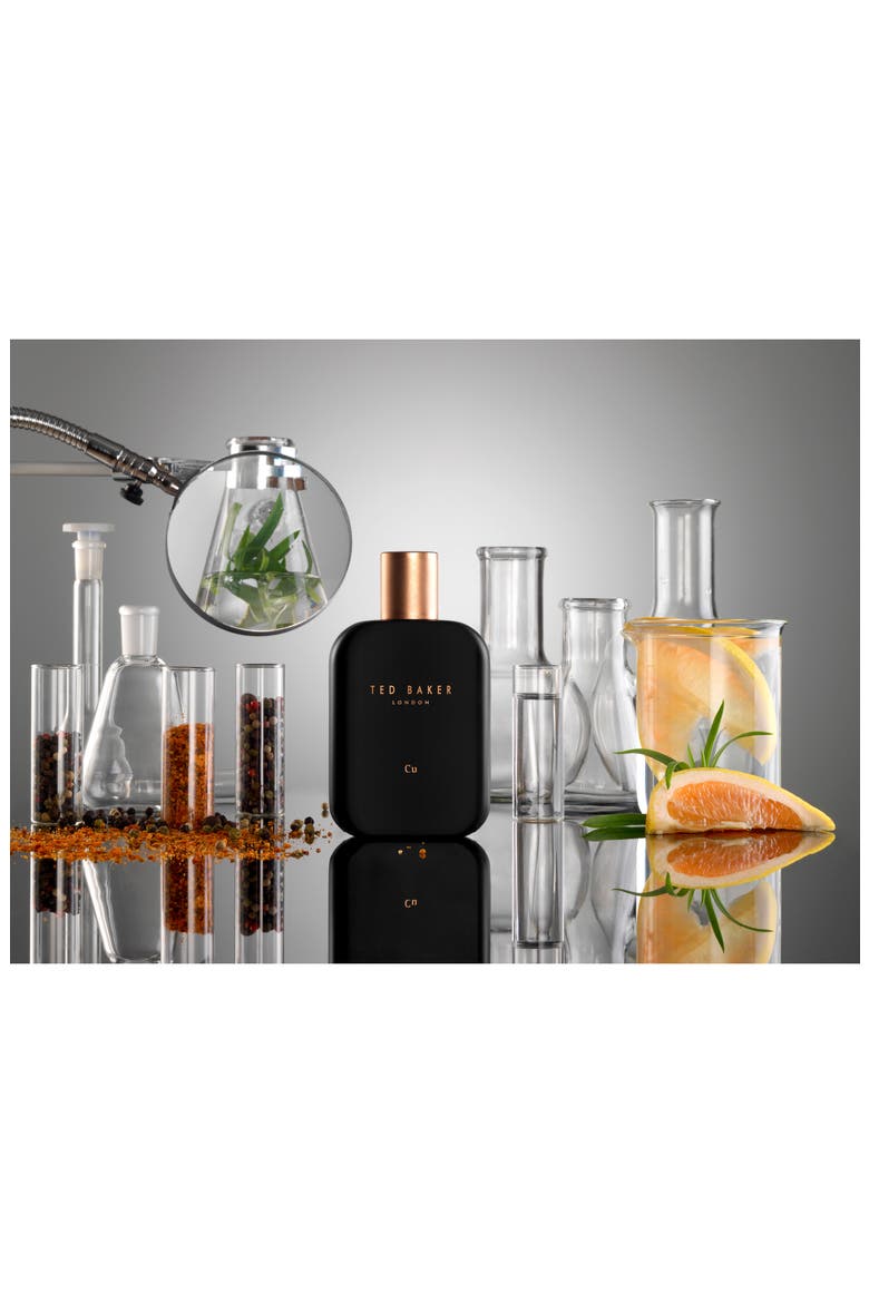 Ted Baker Tonic Cu Eau de Toilette (Nordstrom Exclusive), Alternate, color, NO COLOR