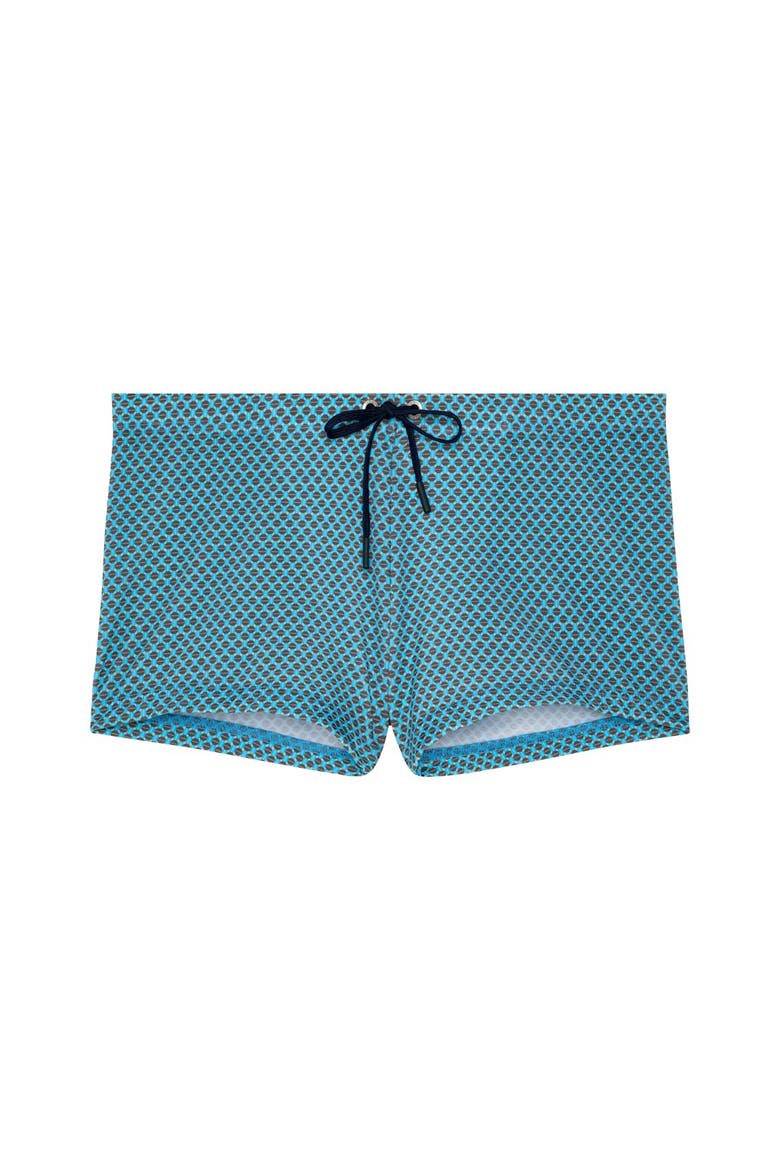 Cappuccino Swim Shorts, Main, color, Blue Print
