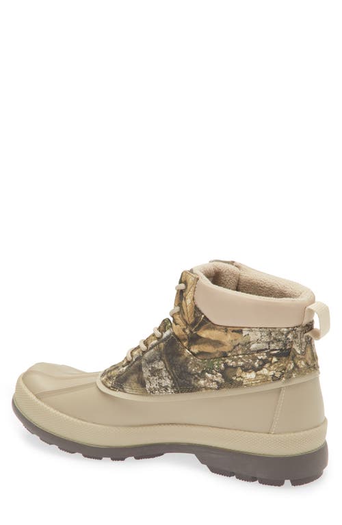Sperry Top-sider® Coldbay Chukka Boot In Green