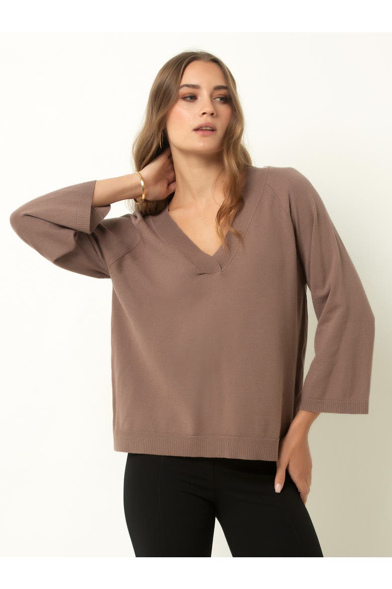 Drop Shoulder V-Neck Sweater, Main, color, Deep Taupe