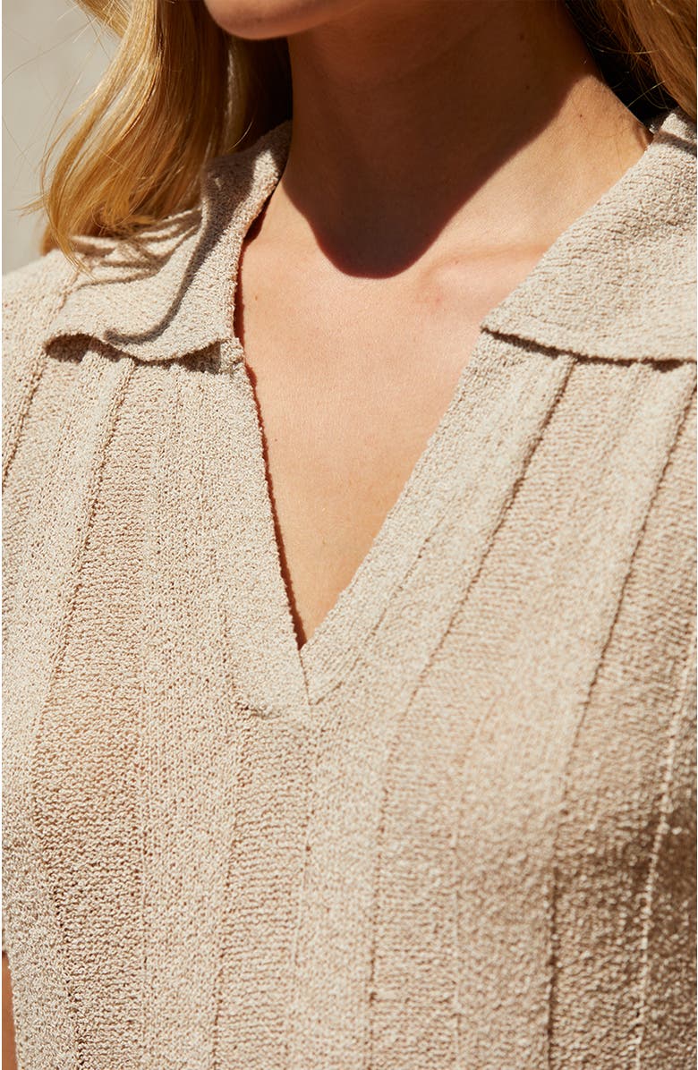 CRESCENT Ribbed Sweater Knit Polo Dress, Alternate, color, Taupe