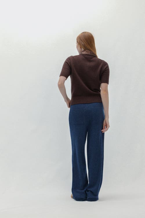 Naked Cashmere Bijoux Prep Polo In Brown