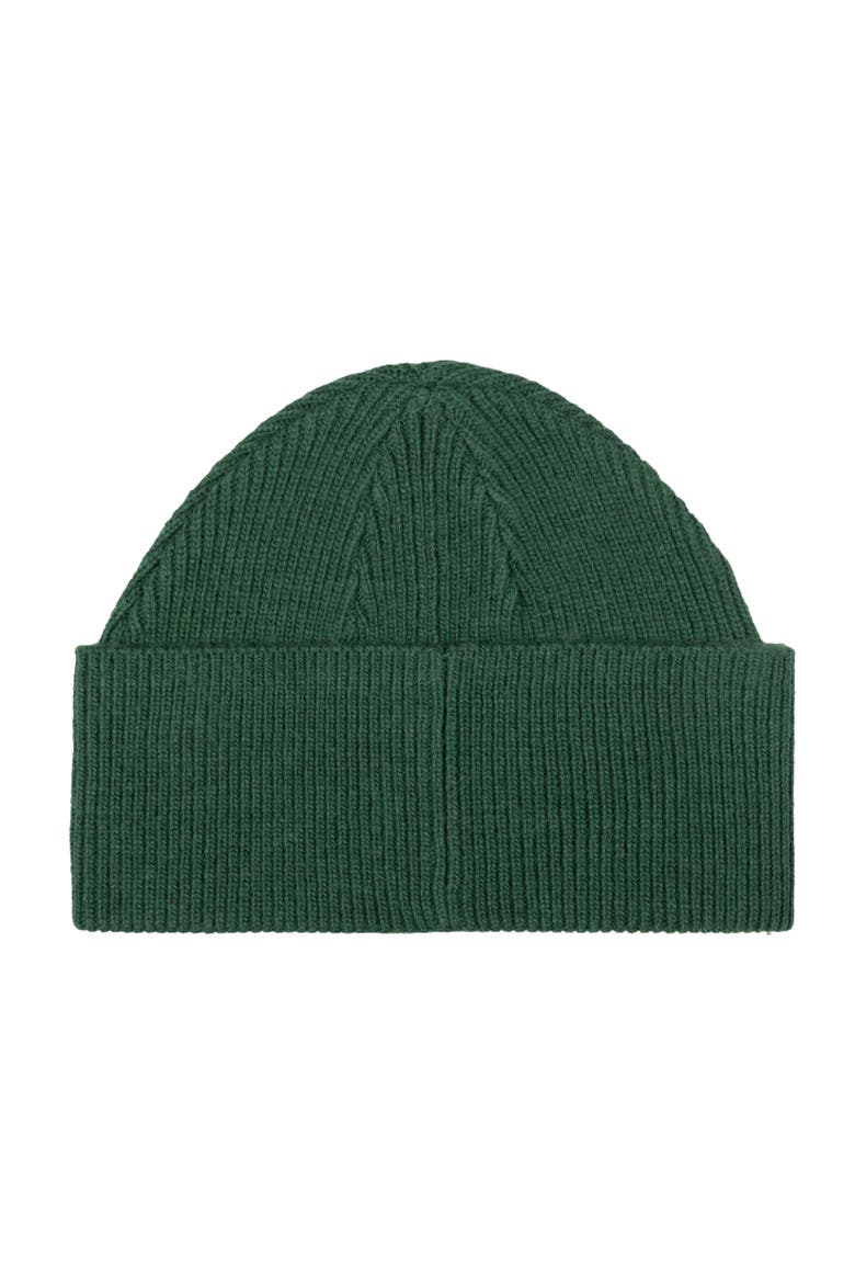 Polo Sportsman Beanie, Alternate, color, Verano Green