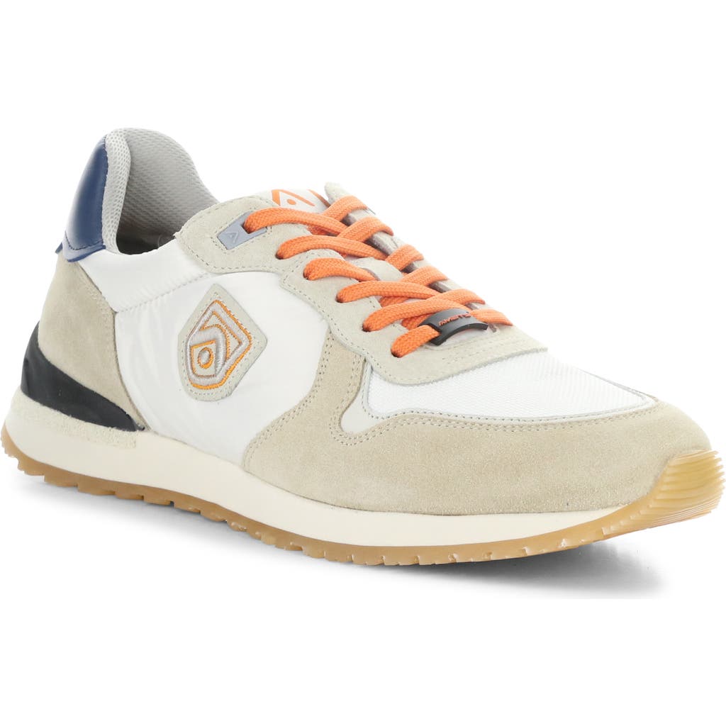 Ambitious 14003 Low Top Sneaker In Multi
