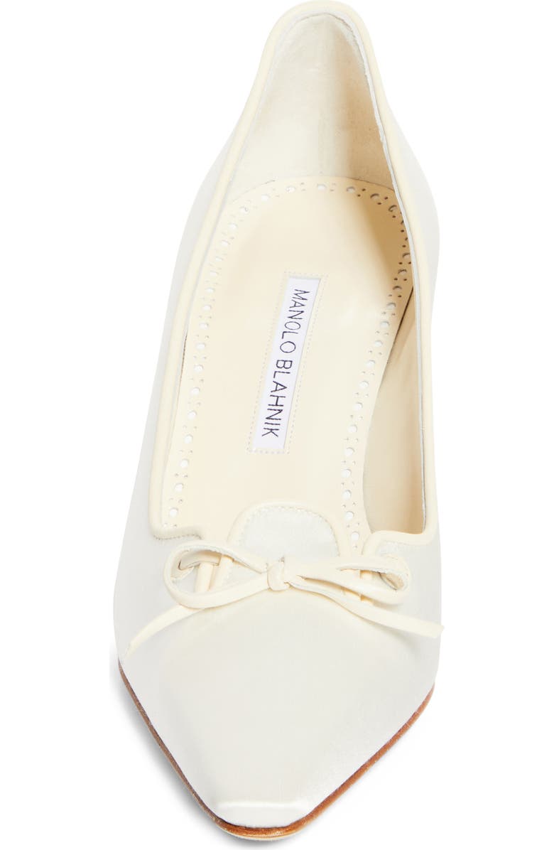 Manolo Blahnik Zaman Pointed Toe Pump, Alternate, color,