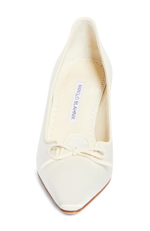 MANOLO BLAHNIK MANOLO BLAHNIK ZAMAN POINTED TOE PUMP