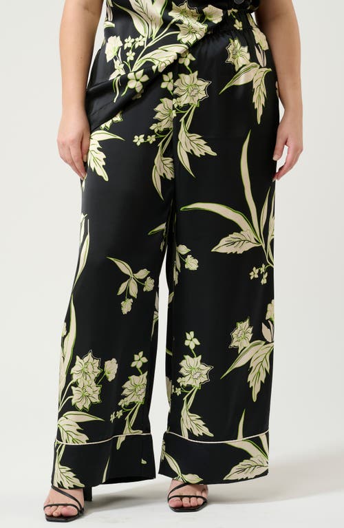 Estelle Baia Floral Pants In Black