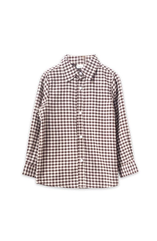 Beet World Boys Collar Shirt In Brown Check