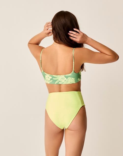 Carve Designs Lani Pocket Compression Bottom