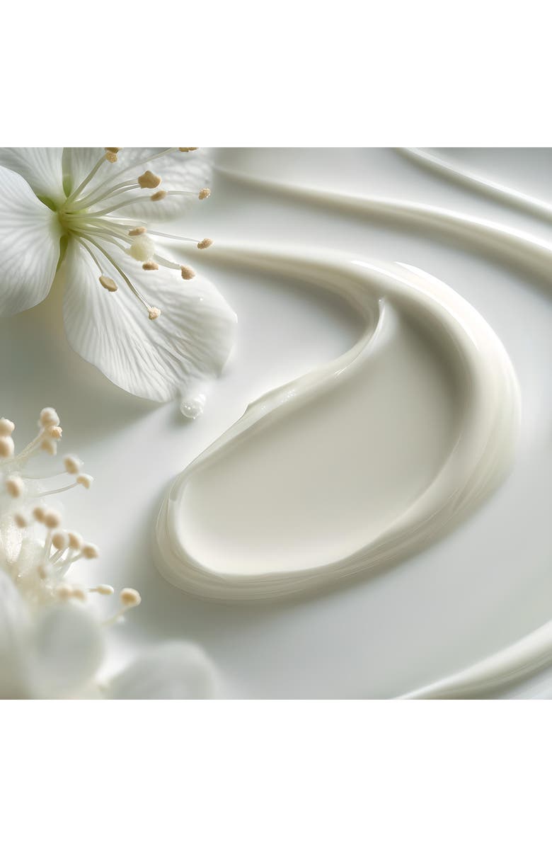 Leonor Greyl PARIS Éclat Naturel - Texturizing, Frizz Control and Conditioning Styling Cream, Alternate, color, 