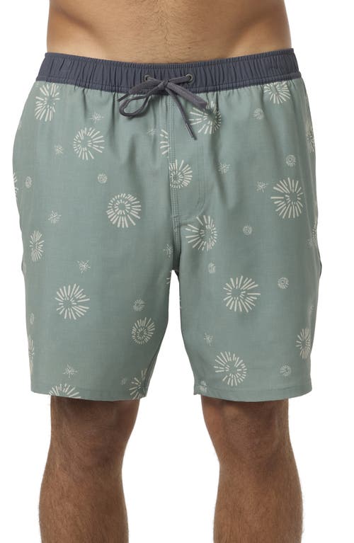 O'neill Hermosa Swim Trunks In Green