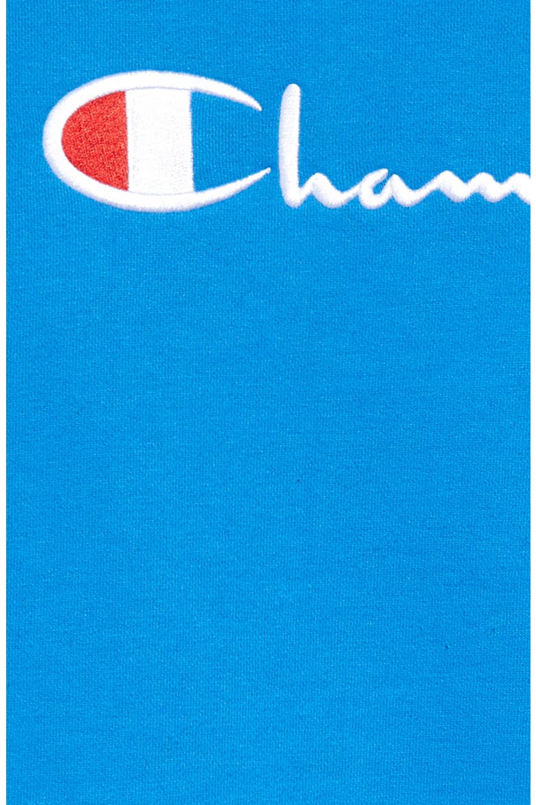 Kids' Embroidered Premium Fleece Sweatshirt, Alternate, color, BLUE JAY
