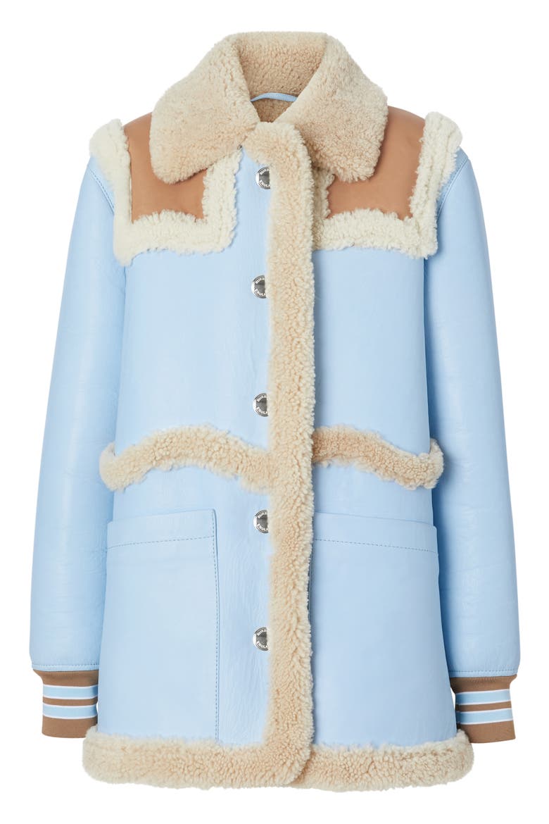 Two-Tone Genuine Shearling & Leather Coat, Alternate, color, BABY BLUE