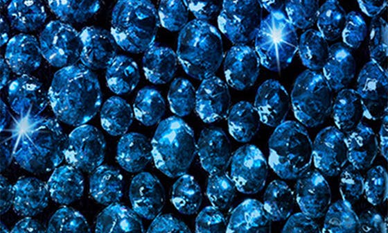 selected BLEU ASTRAL