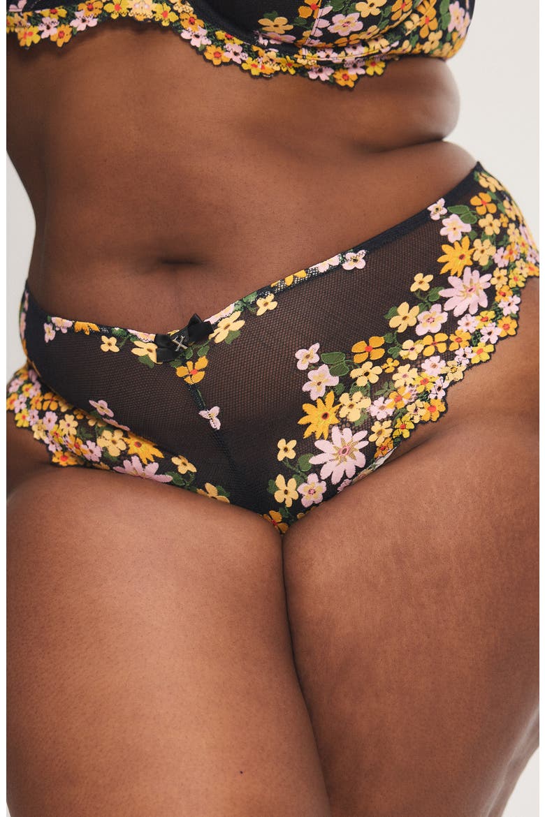 Wonderfleur Cheeky Briefs, Alternate, color, BLACK CAVIAR