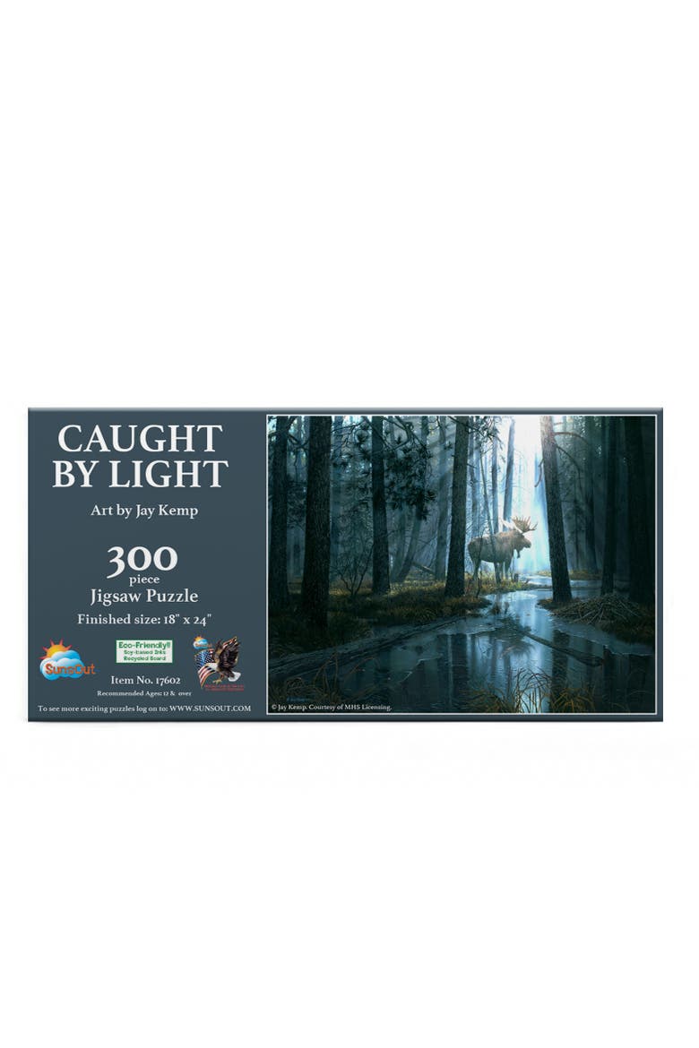Caught by Light 300 piece Jigsaw Puzzle for Adults, Alternate, color, Multicolor