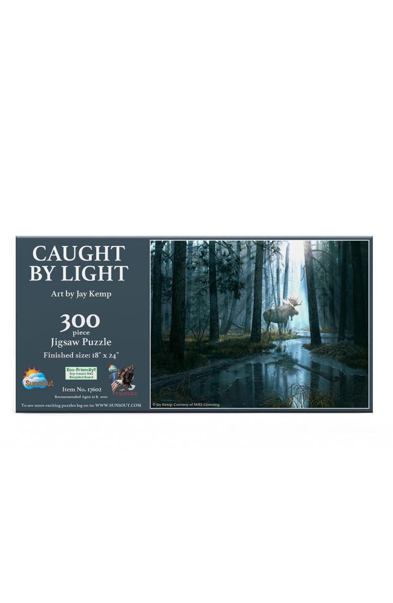 Sunsout Caught by Light 300 piece Jigsaw Puzzle for Adults, Alternate, color, Multicolor